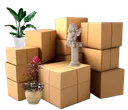MY MOVE DAY Logo