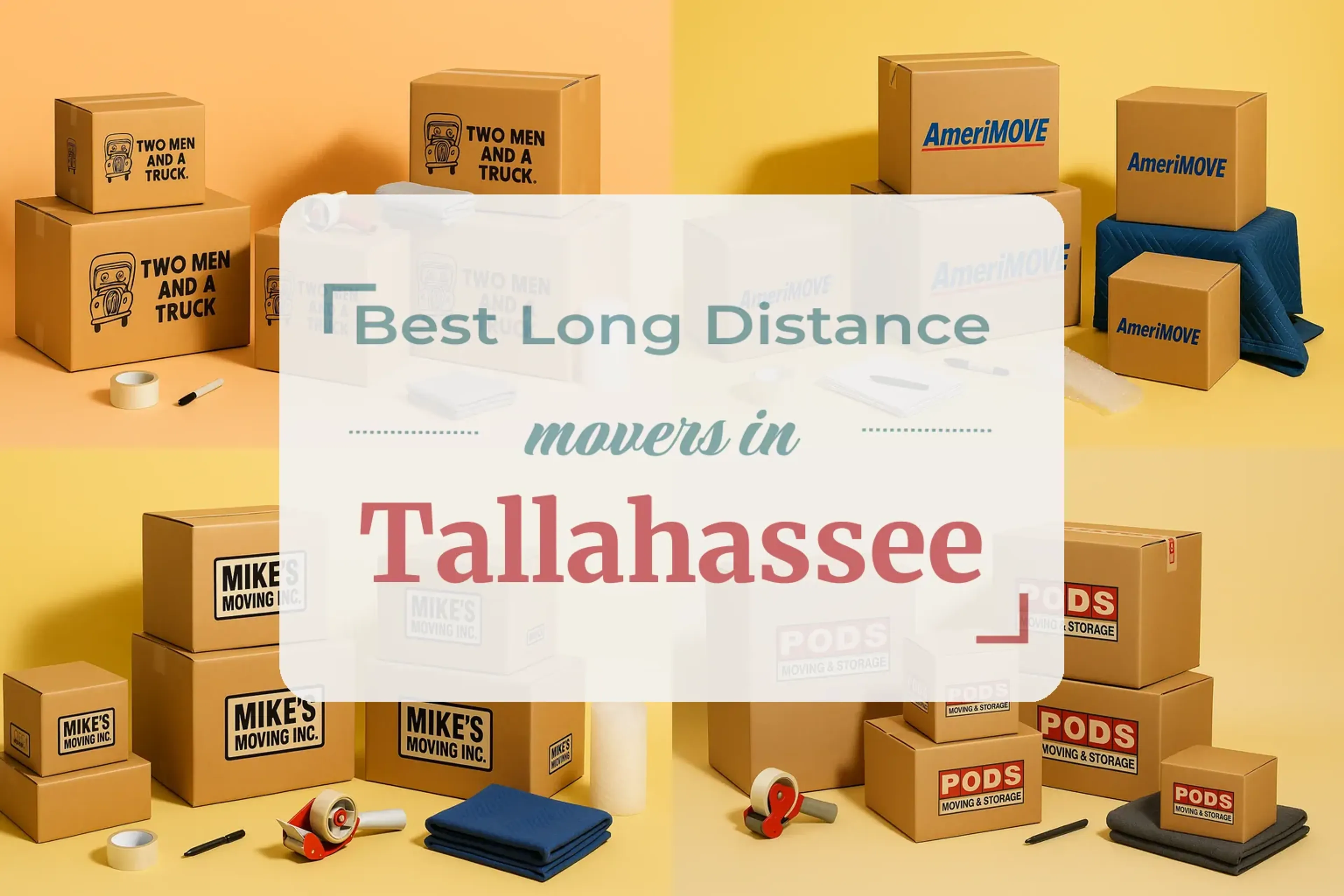 Tallahassee, FL background image