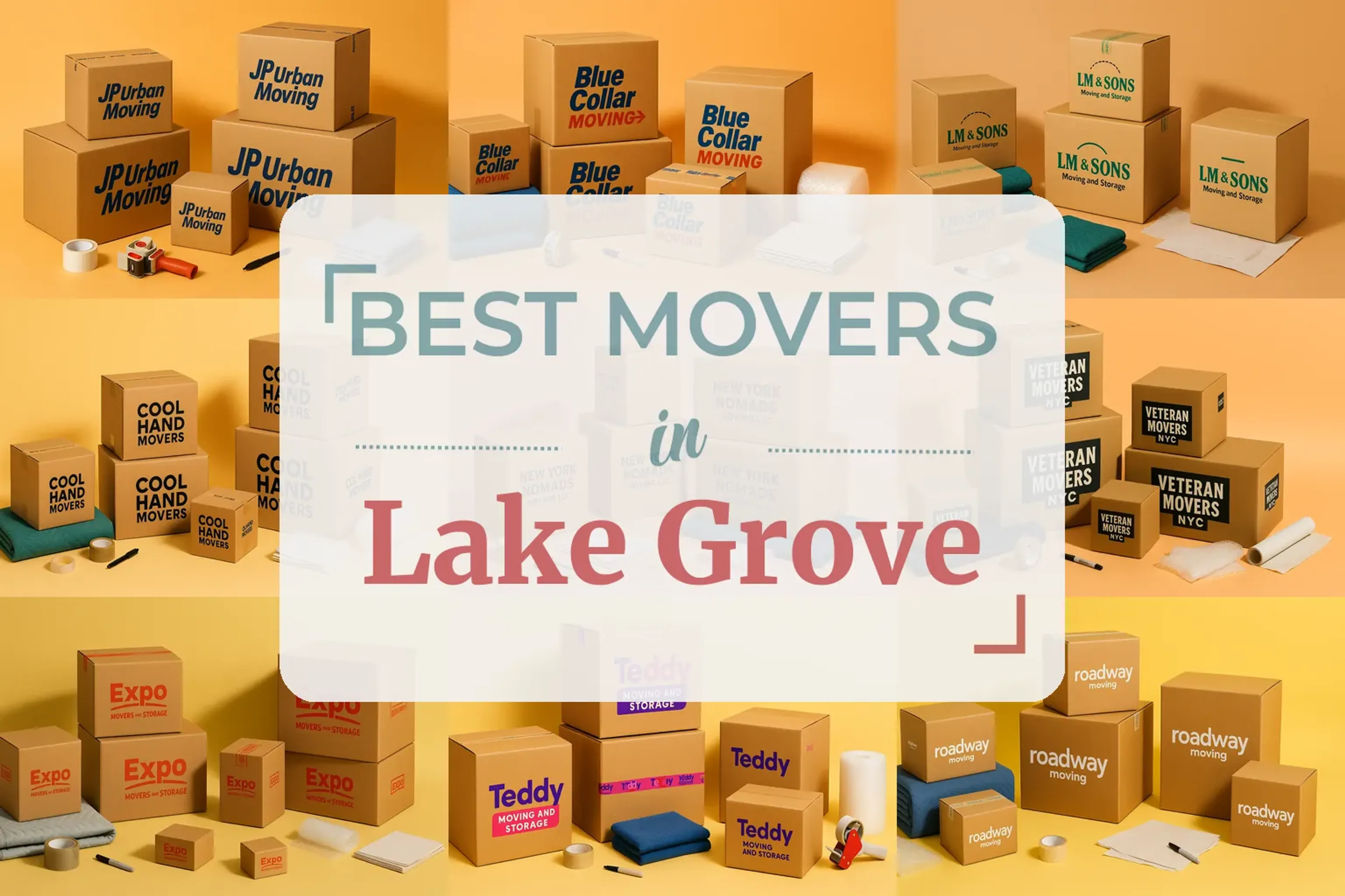 Lake Grove, NY featured image