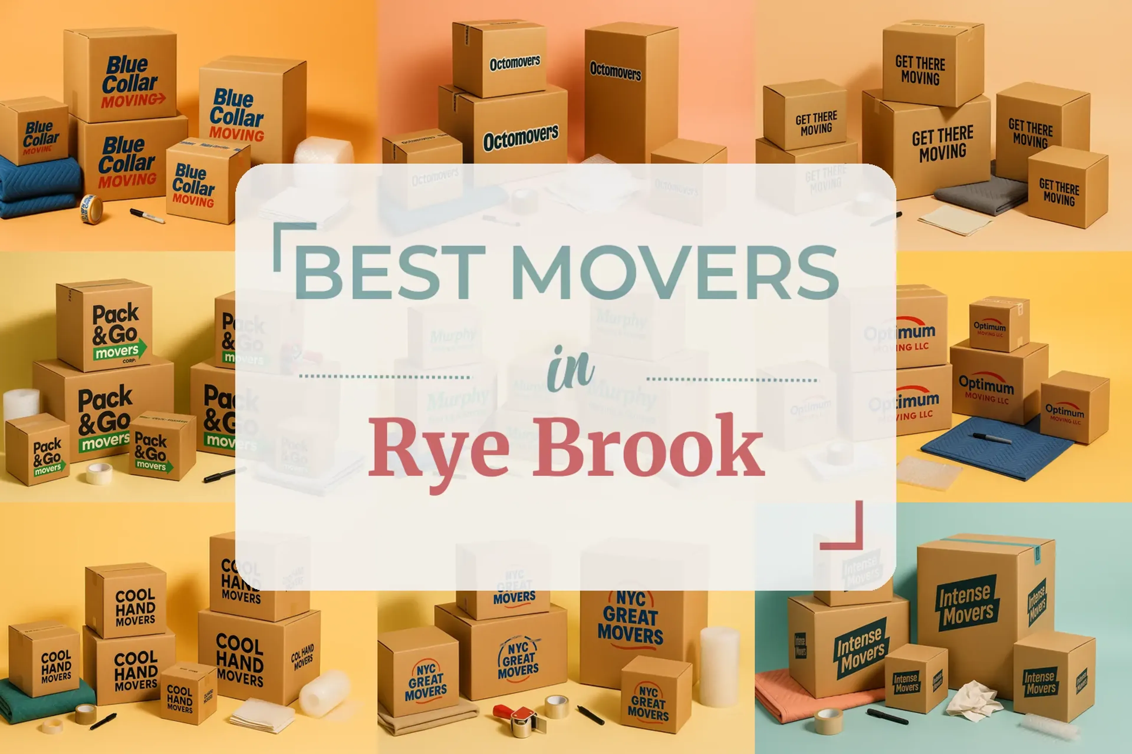 Rye Brook, NY featured image