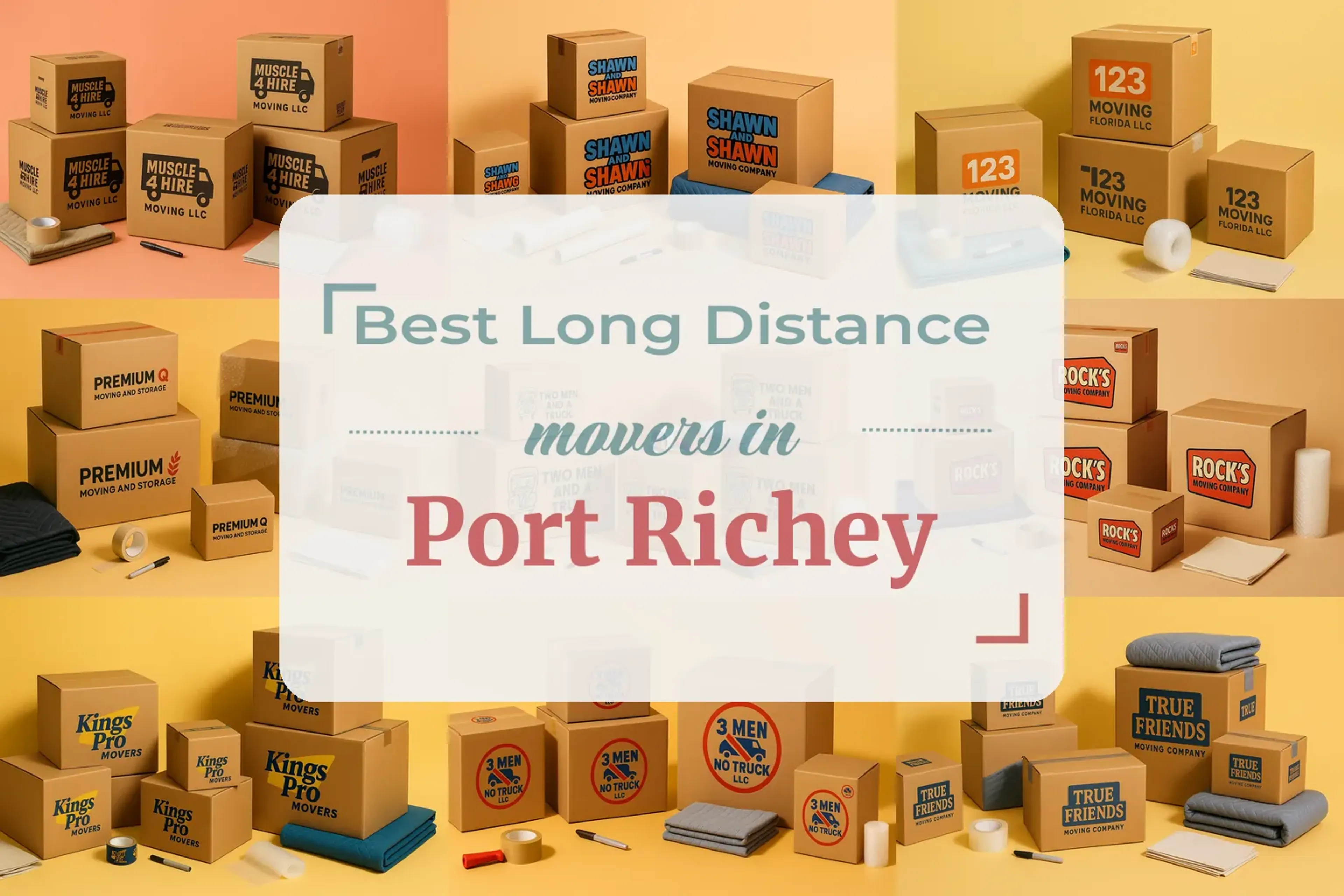 Port Richey, FL background image