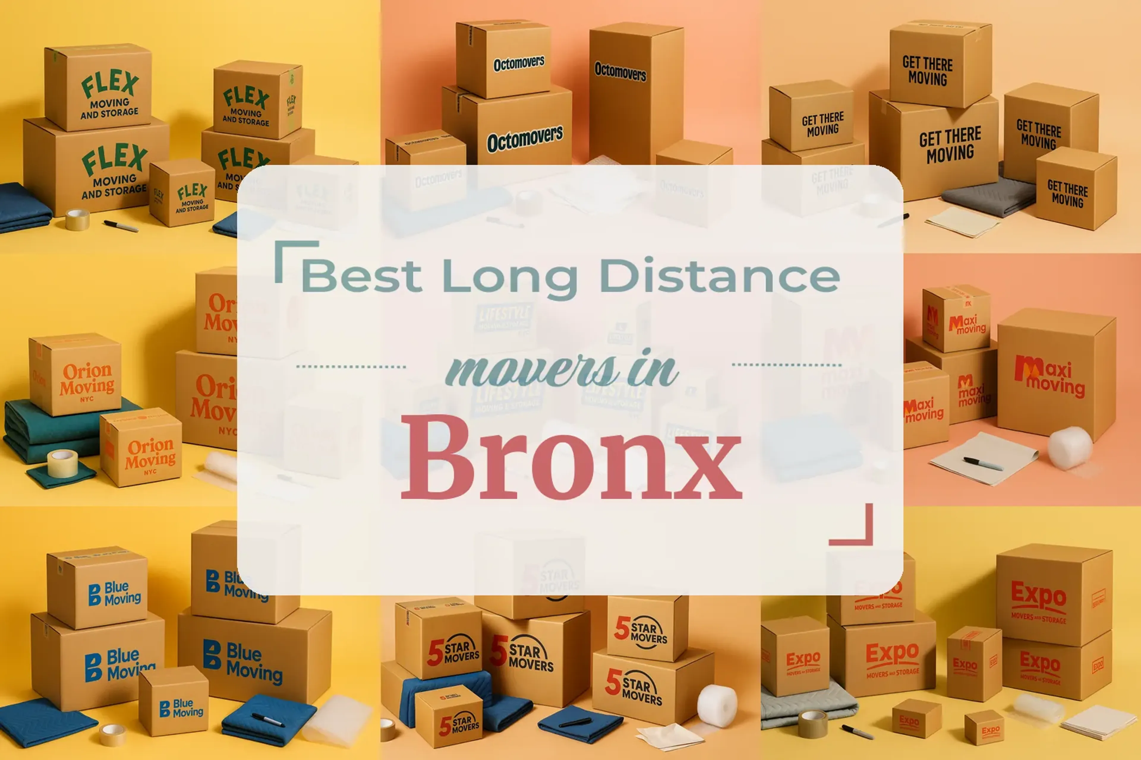 Bronx, NY background image