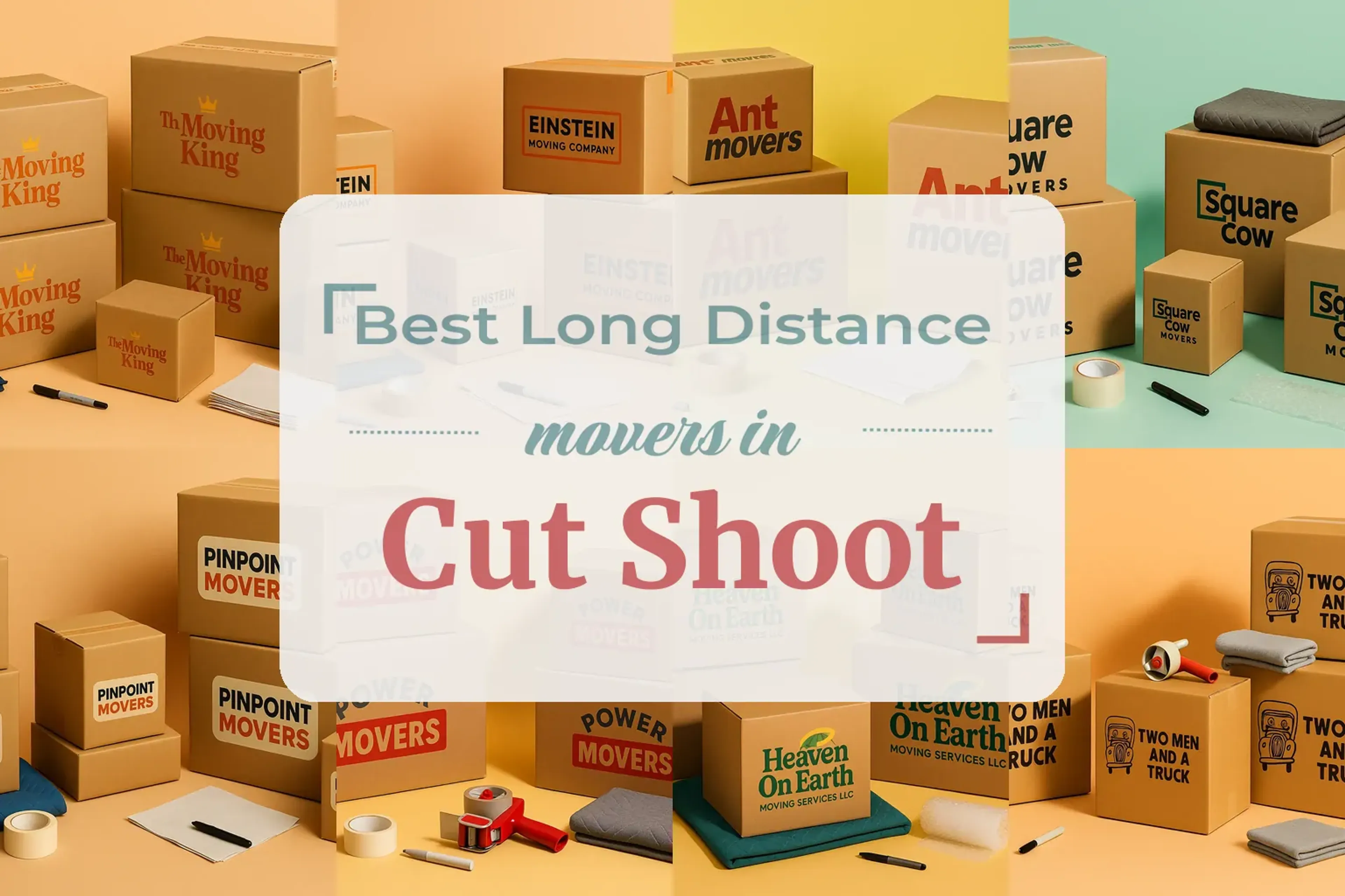 Cut Shoot, TX featured image